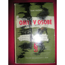 Jan Vážný - Omyl v osobě